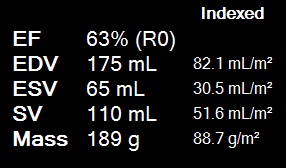 LV volume index values