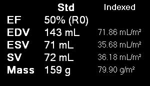 LV volume index values